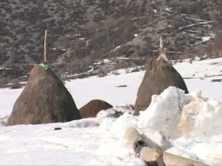 POST IZOLIMI STEBLEVA ZONA ME E GODITUR NGA DEMET E DEBORES LAJM