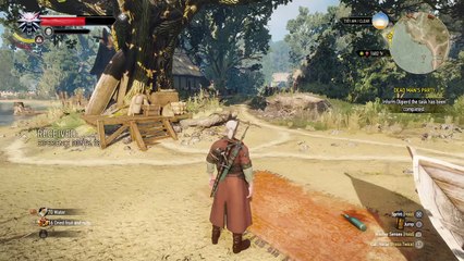 The witcher 3 all DLC (175)