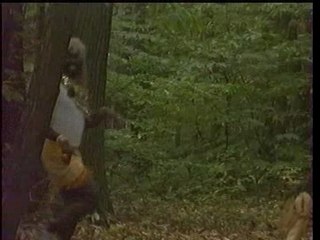 [PlopBlog.com]La Bande A Fifi - Mister T