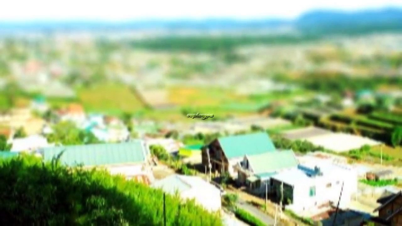 Gõ Cửa Trái Tim - vuphongvu