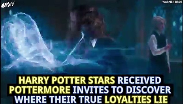 Harry Potter Stars Get Sorted Into Hogwarts Houses