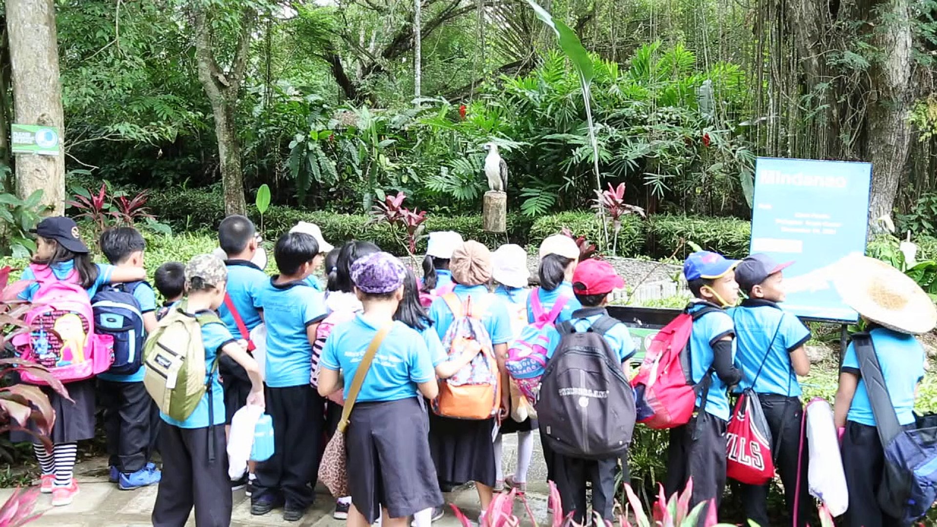 ⁣Sanctuary offers hope for endangered Philippine eagle