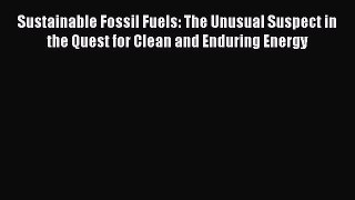 [PDF] Sustainable Fossil Fuels: The Unusual Suspect in the Quest for Clean and Enduring Energy