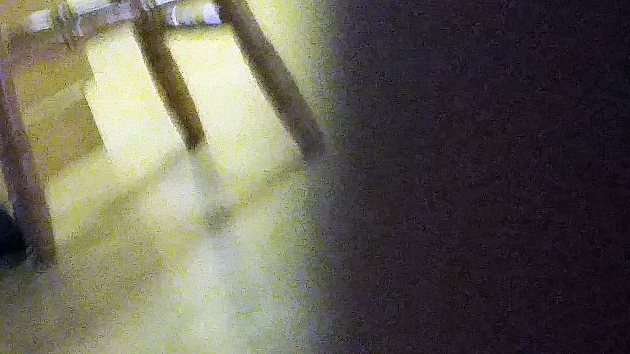 Dog snorting like a pig