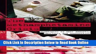 Download The Methamphetamine Crisis: Strategies to Save Addicts, Families, and Communities  PDF Free