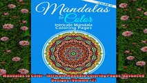 FREE DOWNLOAD  Mandalas to Color  Intricate Mandala Coloring Pages Advanced Designs Volume 12  BOOK ONLINE