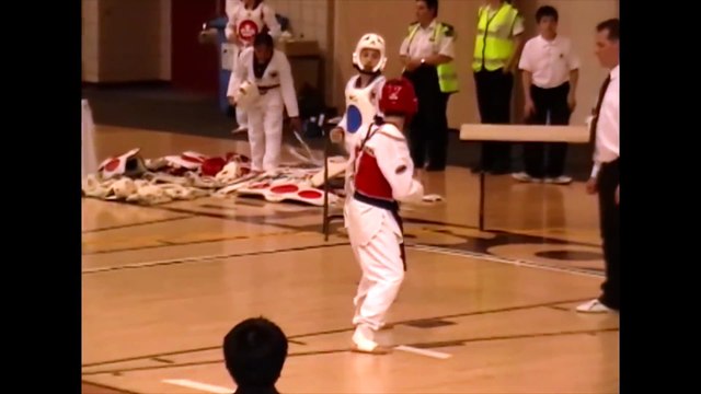 Incredible Taekwondo knock out with one spinning roundhouse kick!!