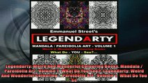 EBOOK ONLINE  Legendarty Weird And Wonderful Colouring Books Mandala  Pareidolia Art  Volume 1   BOOK ONLINE