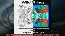 FREE PDF  Wild Things Meditative Mandalas for Coloring Book IV  DOWNLOAD ONLINE