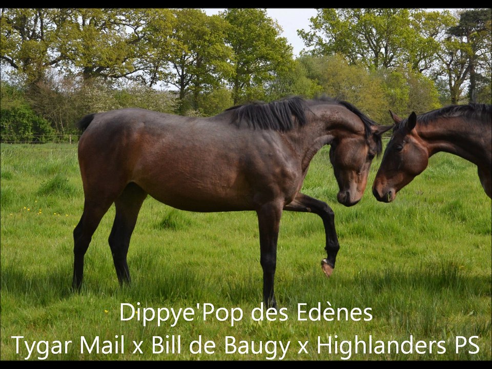 Diggye'pop des Edènes - saut en liberté - 3 ans