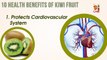 10 Health Benefits of Kiwi Fruit
