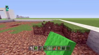 Minecraft| Finishing a football pitch