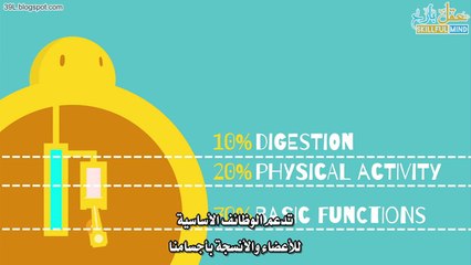 ما هي السعرات الحرارِية بالتفصيل الممتع؟ #شَرْح تفاعليّ