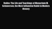 Read Books Rebbe: The Life and Teachings of Menachem M. Schneerson the Most Influential Rabbi