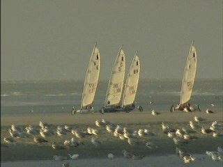 Résumé Quotidien C5-C Standard Voile 🏁