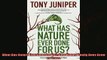 Enjoyed read  What Has Nature Ever Done for Us How Money Really Does Grow on Trees