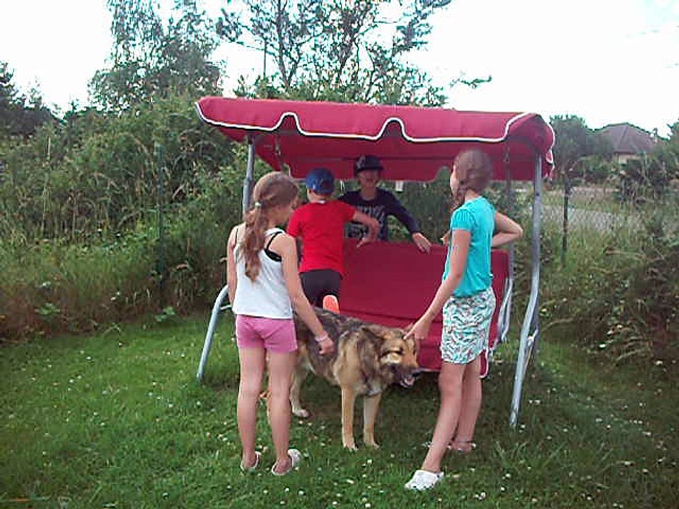 DSCF7170...rose noelle momas