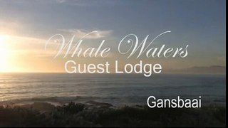 Whale Waters Guest House - South Africa Travel Channel 24