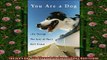 FREE PDF  You Are a Dog Life Through the Eyes of Mans Best Friend  BOOK ONLINE