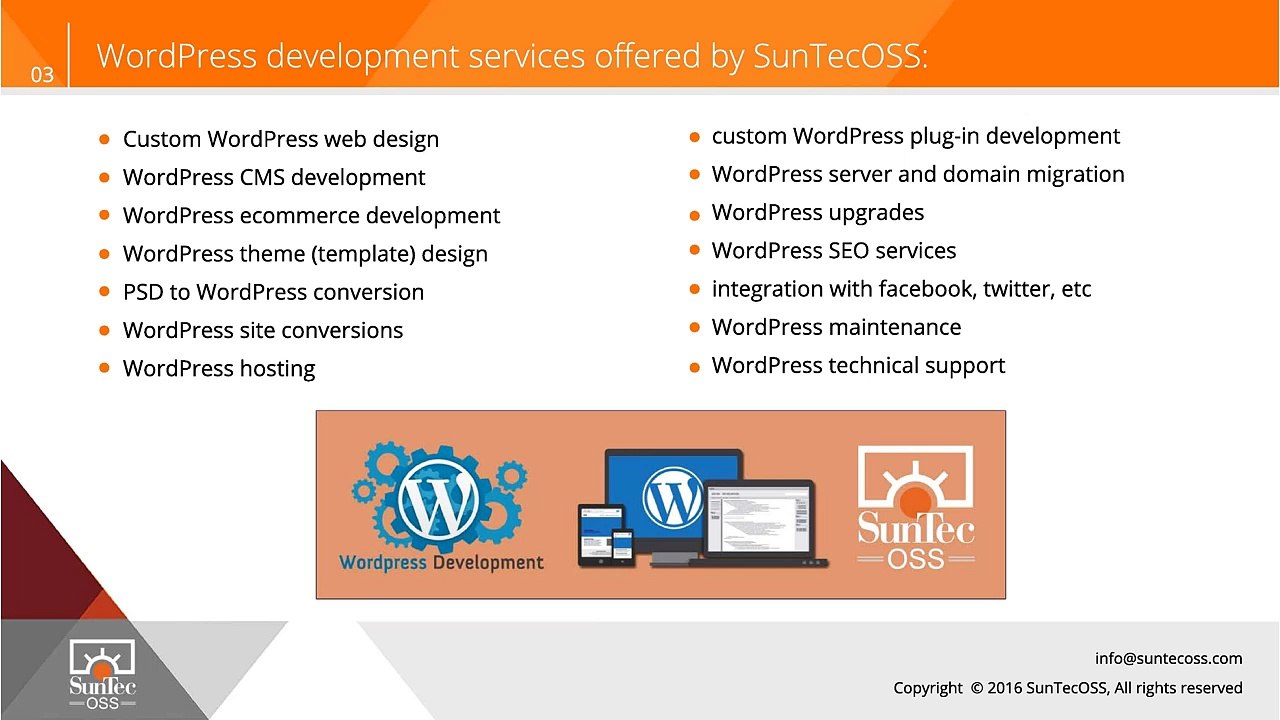 Need a Sophisticated Yet Powerful WordPress Website