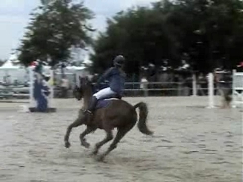 Lamotte B1 elite 2eme jour