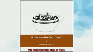 FREE DOWNLOAD  Mr Bunnys Big Cup o Java  DOWNLOAD ONLINE