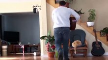 Cet homme repousse son chat avec un coup de pied, regardez comment ce dernier se venge