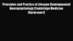 Read Principles and Practice of Lifespan Developmental Neuropsychology (Cambridge Medicine