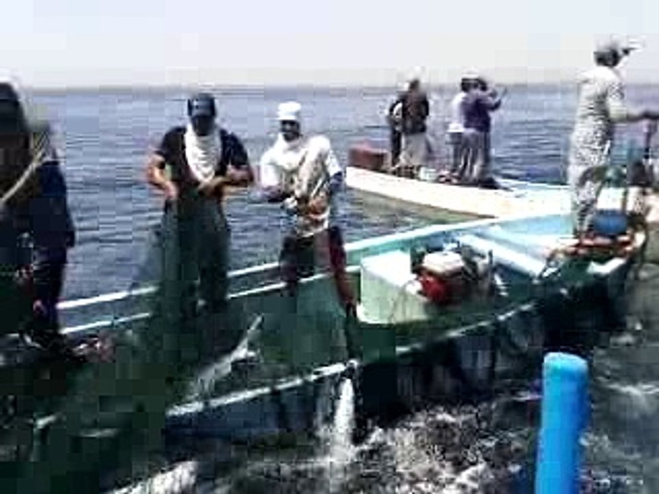 Wow Amazing Fishing in Sea