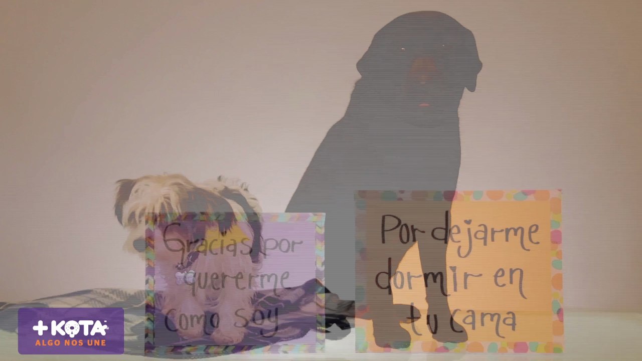 día madre +kota-HD