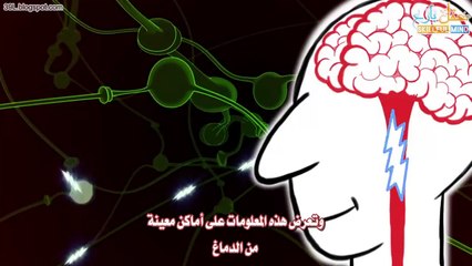 مبدأ عمل الأعصاب #جِسْم الإِنْسَان #شَرْح تفاعليّ
