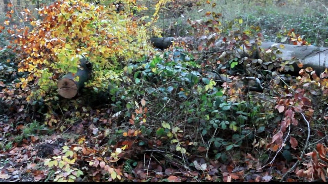 BestandAufnahme - Kreis Pinneberg Folge 03 /Full Film/Complete Movie/Ganzer Film