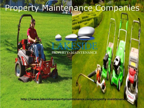 Home maintenance Professionals