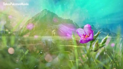 Iko Iko (The Retrievers)