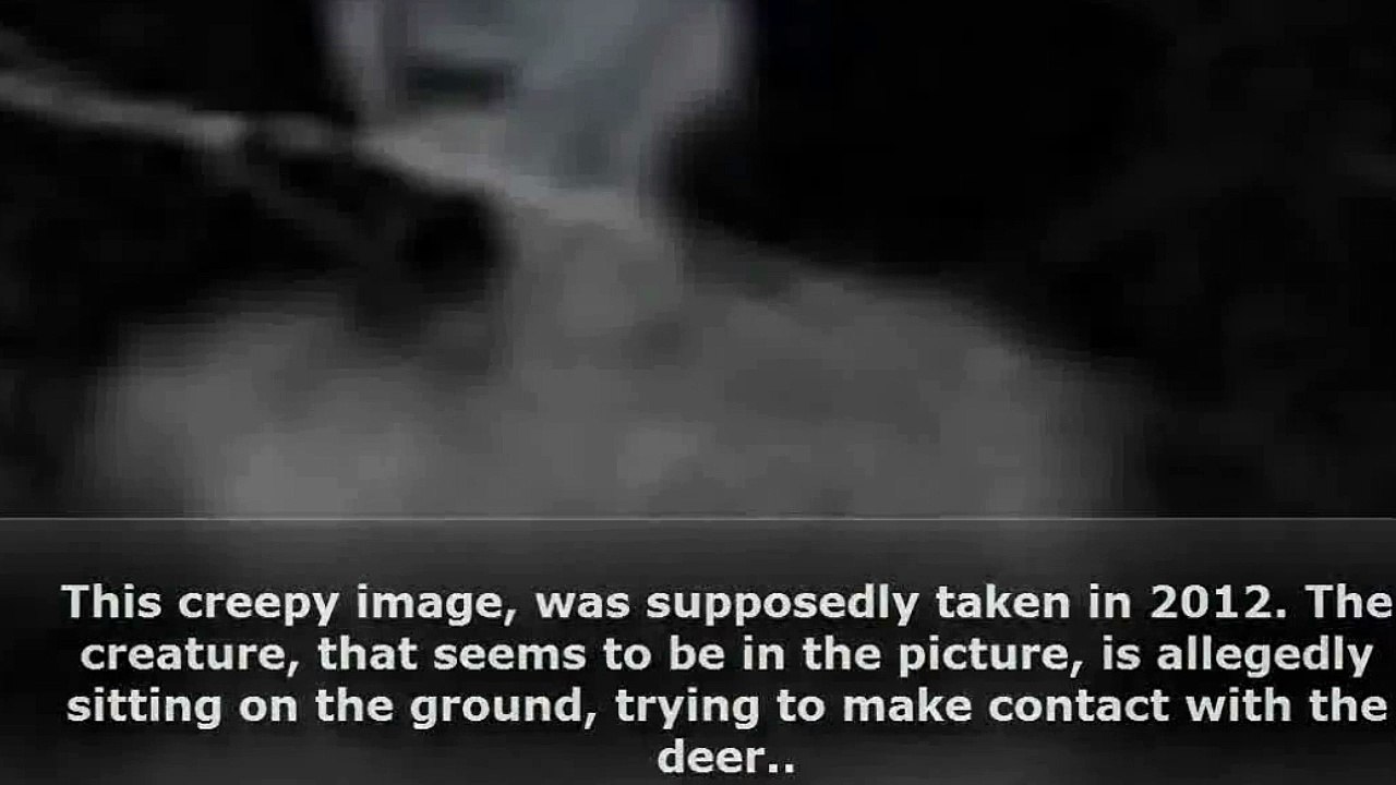 10 photos de créatures étranges et curieuses !