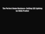 Download The Perfect Home Business- Selling LED Lighting for HUGE Profits! Ebook Online