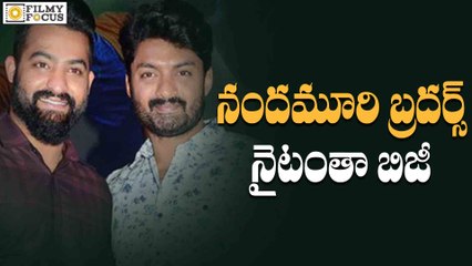 NTR and Kalyan Ram Busy with Night Shoots - Filmyfocus.Com