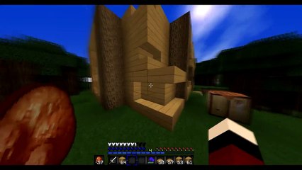 Ich bin mit dem Enderman zusammen.  -Project X #3