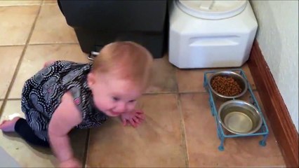 Ce bébé veut voler la bouffe du chien