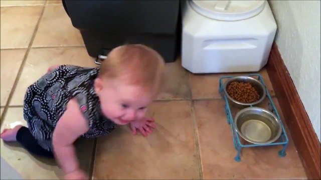 Ce bébé veut voler la bouffe du chien