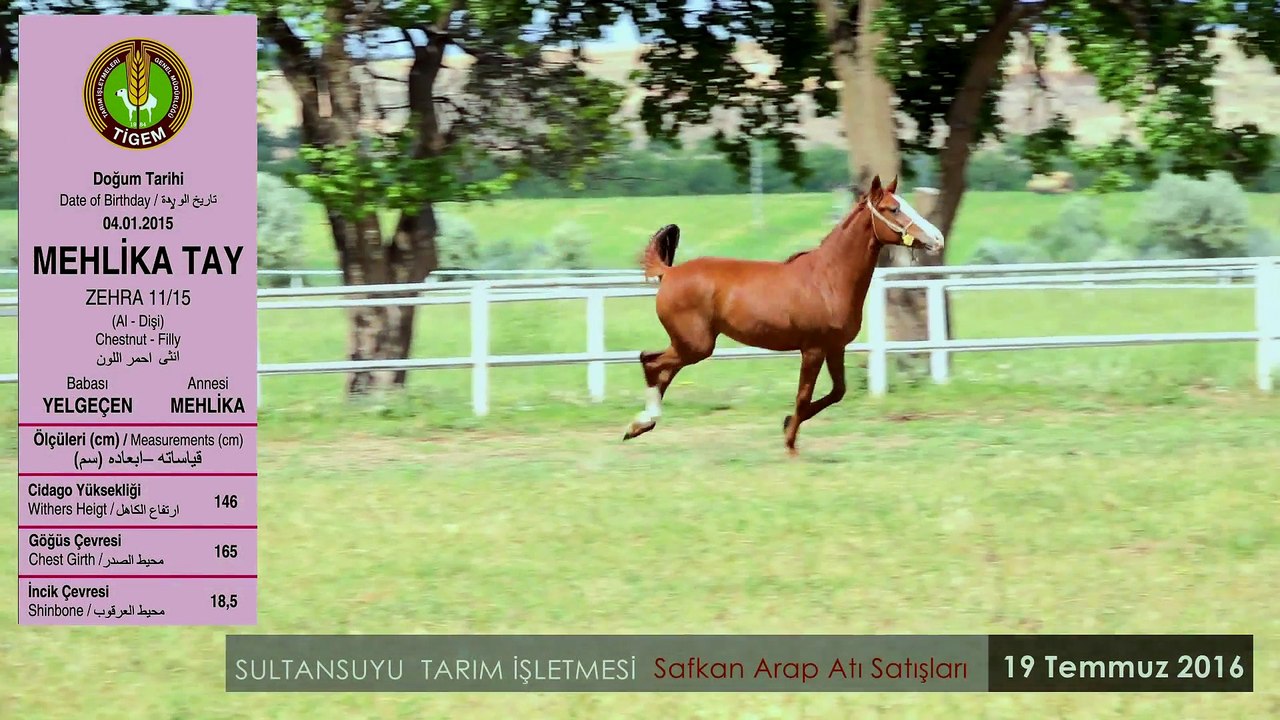 MEHLİKATAY