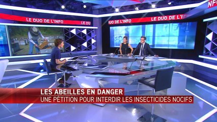 Plus de 600.000 signatures contre les pesticides qui tuent les abeilles - Le 16/06/2016 à 13:00