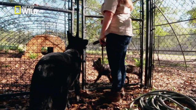 Une maman hors du commun
