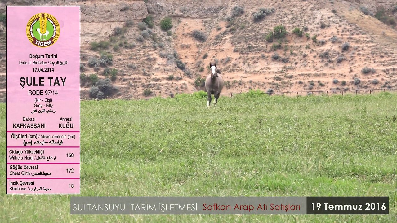 ŞULETAY
