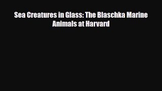 Download Sea Creatures in Glass: The Blaschka Marine Animals at Harvard PDF Free