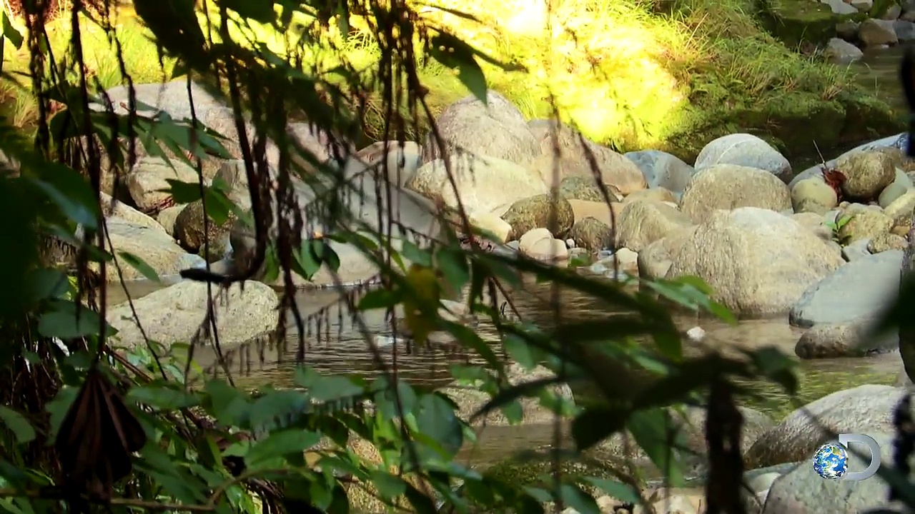 Naked Confessions: After Honduras