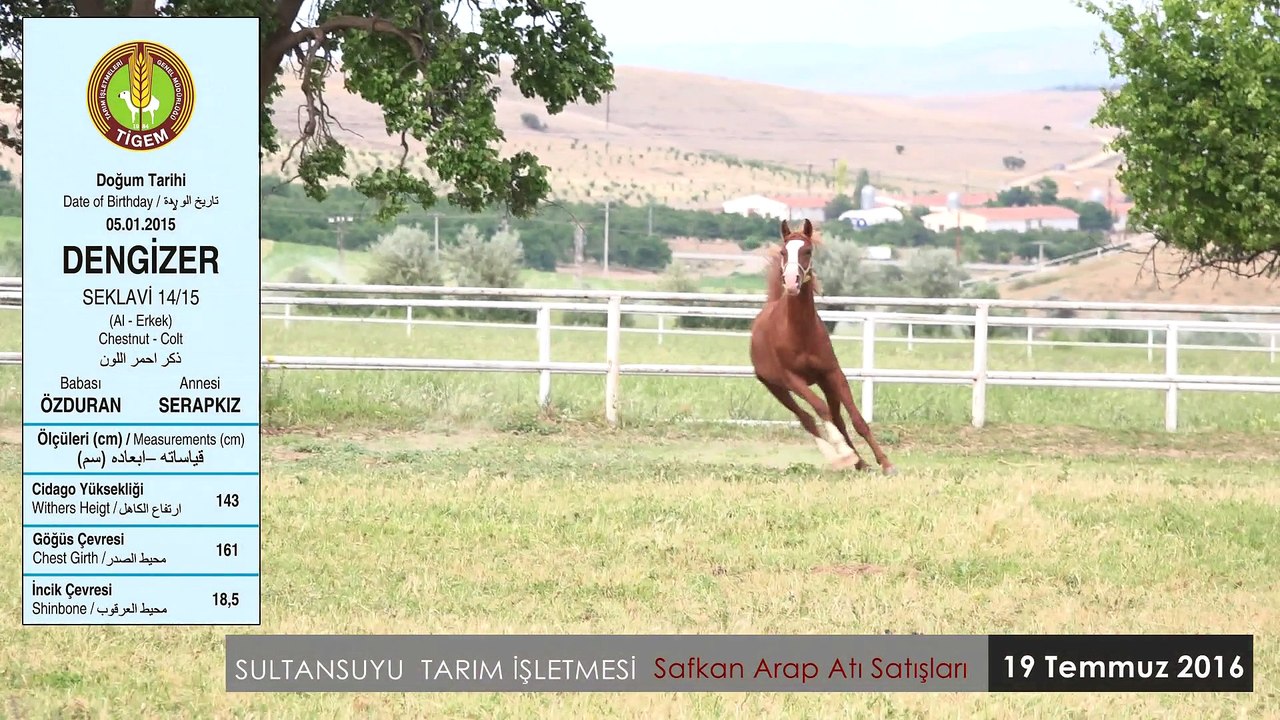 DENGİZER