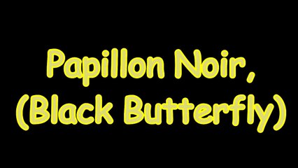 Papillon NoirBlack Butterfly