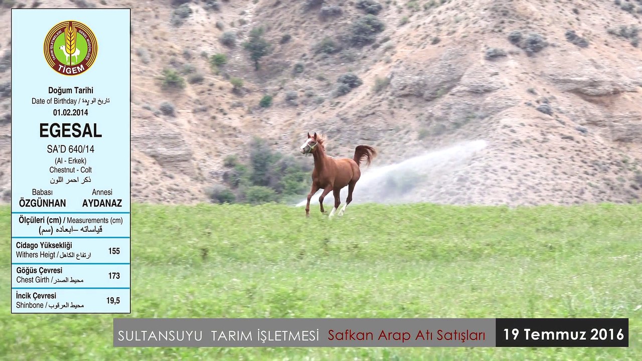 EGESAL