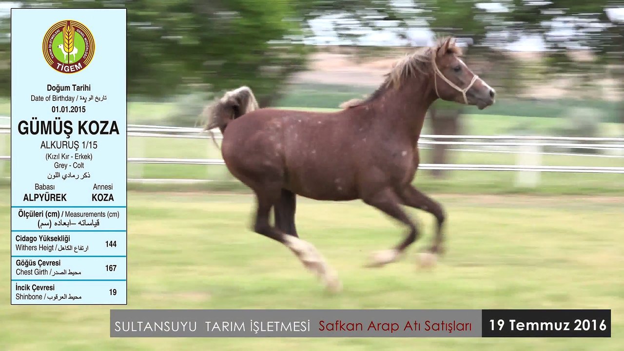 GÜMÜŞKOZA